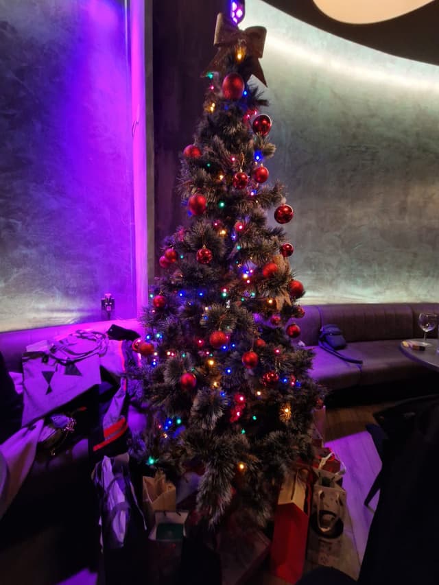 VIS-newsfeed-Xmas2024